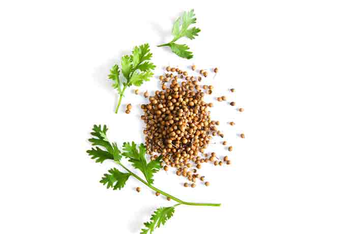 Coriander Seeds